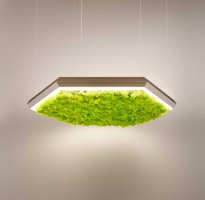 OLEV Exagon Silence green D700 visiace Led svietidlo 